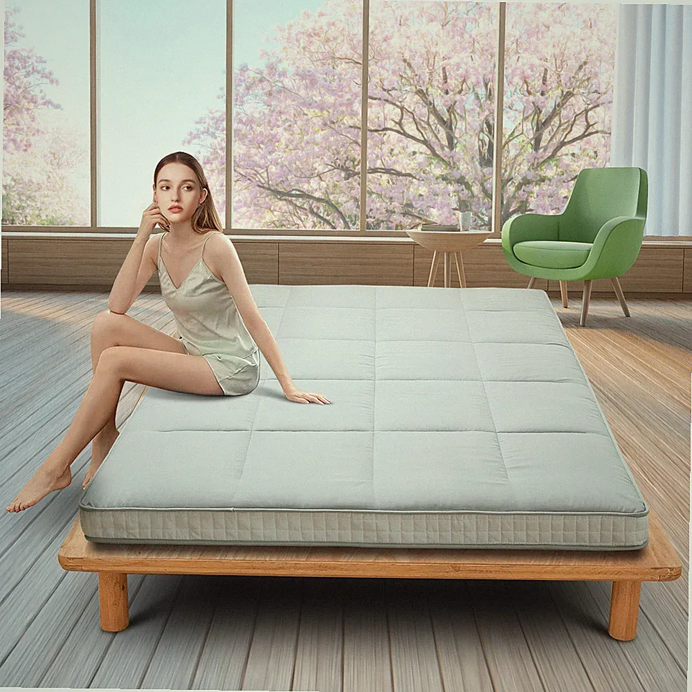NAIZEA Twin Size Japanese Floor Tatami Mattress Futon Mattress Tatami Pad，Gray